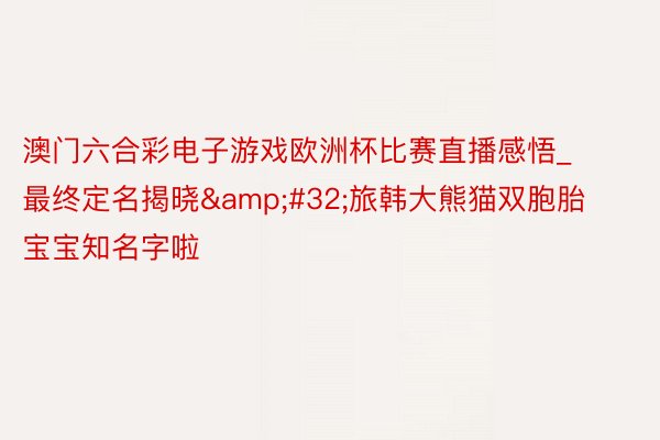 澳门六合彩电子游戏欧洲杯比赛直播感悟_最终定名揭晓&#32;旅韩大熊猫双胞胎宝宝知名字啦